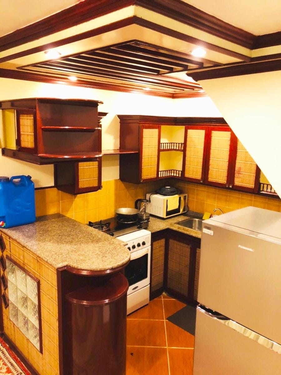 THE MANSION - BACKPACKERS Near AIRPORT Apartment in Pasay