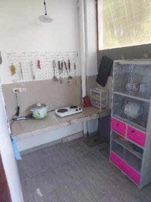 FROZEN Vacation rental in Puerto Princesa