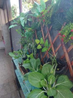 FROZEN Vacation rental in Puerto Princesa