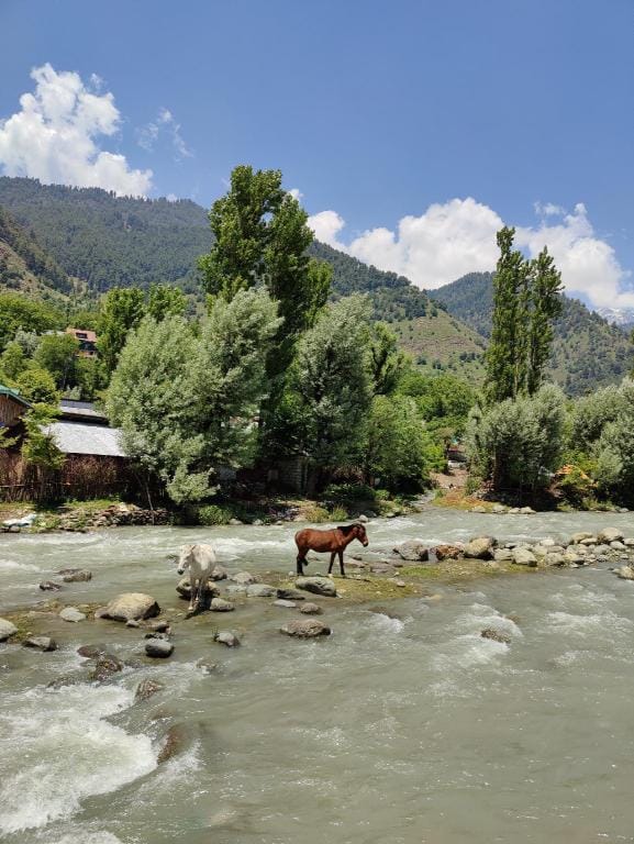 Dreamland Kashmir cottage Hotel in Punjab
