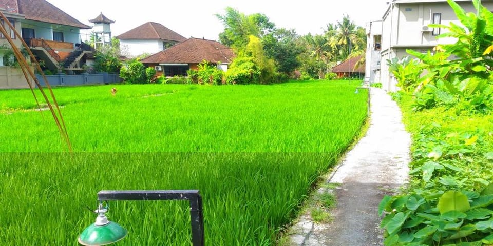 Keladi House Ubud Hostel in Ubud