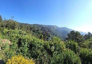Meena Ella Bungalow Vacation rental in Central Province