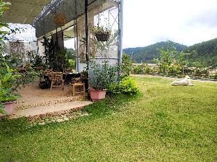 Amikaje Farm Luxury tent in Dalat