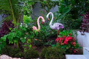 Blossom House Zanzibar Vacation rental in Tanzania