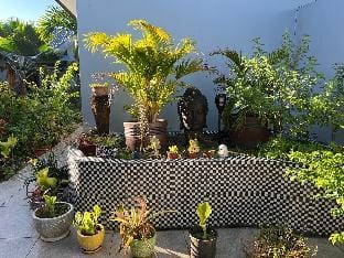Pasifika Guesthouse - Budget Studio Vacation rental in Nadi