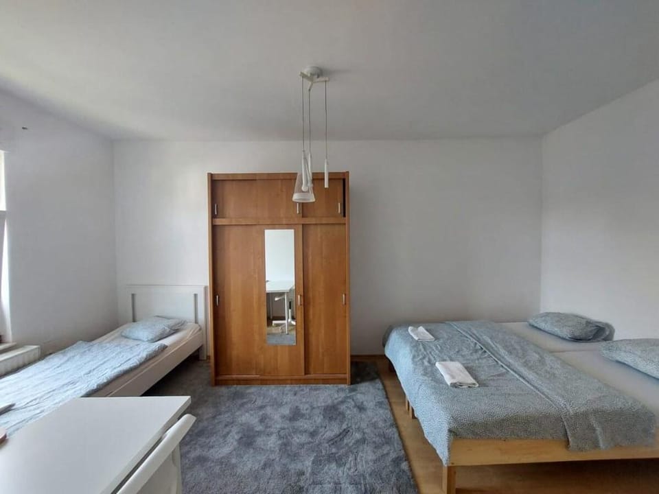 ROSE house, family apartment Vacation rental in Ljubljana