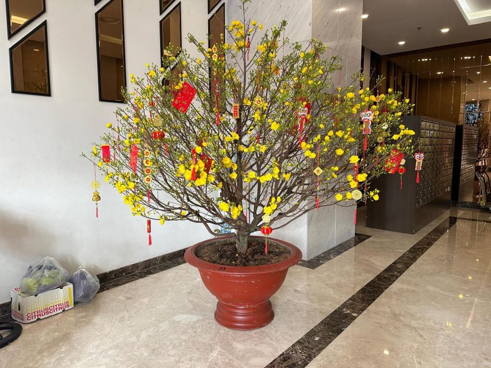 Căn Hộ 2 Phòng Ngủ, Hồ bơi Vô cực đẹp nhất TPHCM Apartment in Ho Chi Minh City