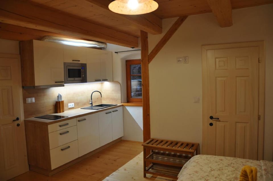 Pětidomí 88 - Rožmberská - studio 2 Apartment in Cesky Krumlov
