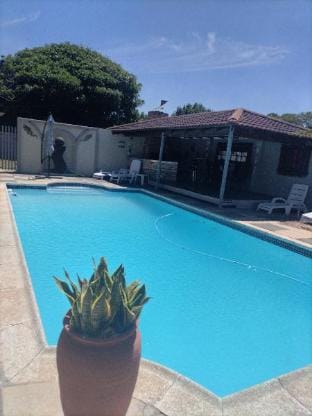 @47 Guest House -Taxco Vacation rental in Port Elizabeth