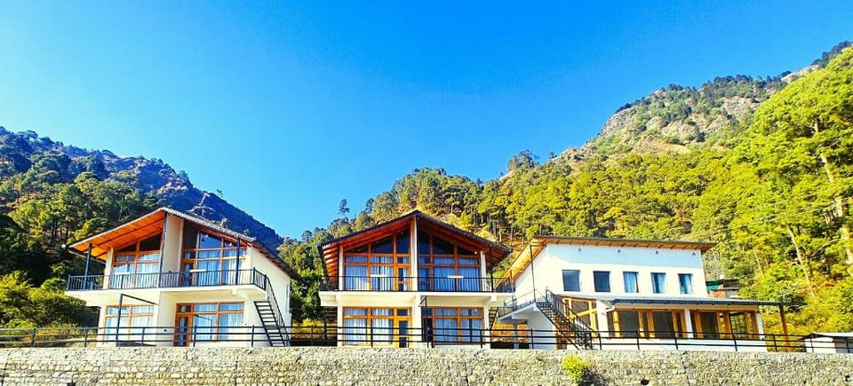 Silver fern by the Hillside Hotel in Uttarakhand