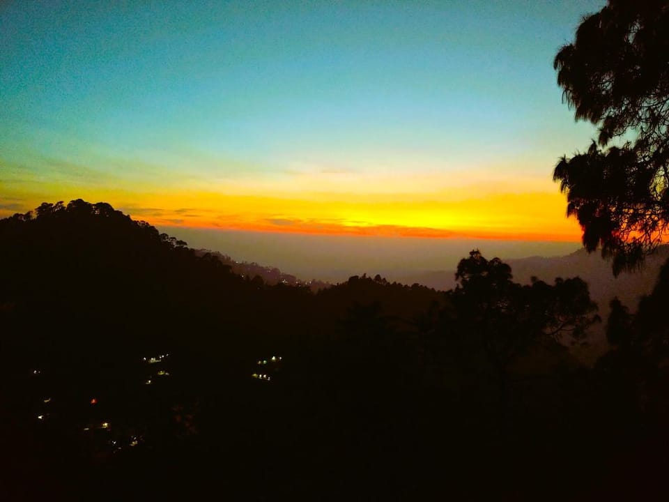 Silver fern by the Hillside Hotel in Uttarakhand