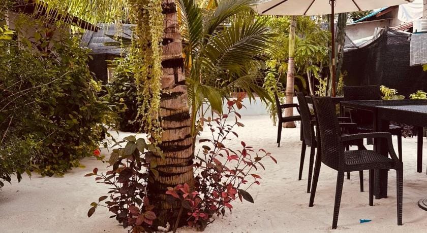 Boli Villa Thoddoo Bed and Breakfast in Maldives