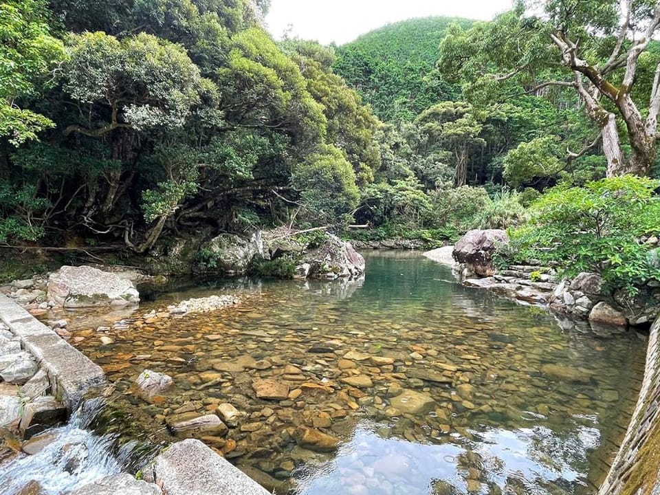 Anchor Bed and Breakfast in Japan