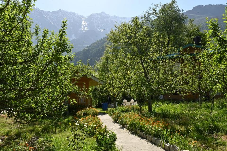 Cascade Mountain retreat manali Hotel in Himachal Pradesh