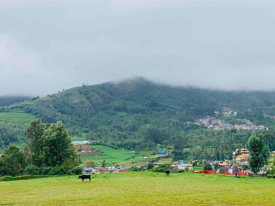 Lawley Cottage Vacation rental in Kerala