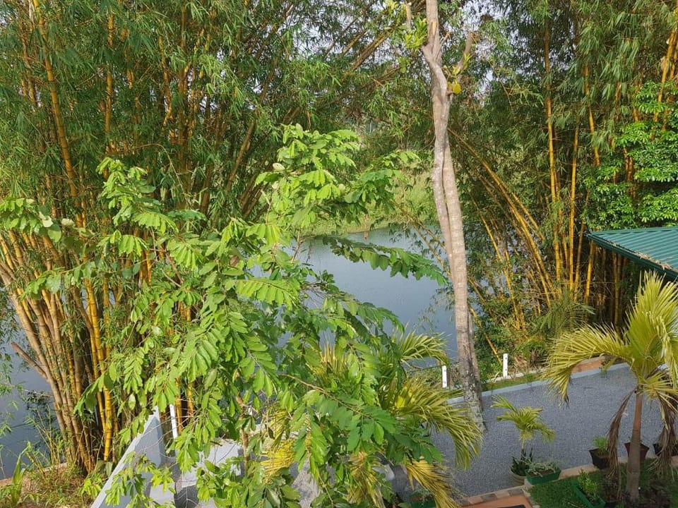 Cozy bungalow fully furnished Apartment in Negombo