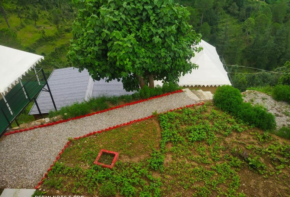 Pine pioneer the eco resort  Luxury tent in Uttarakhand