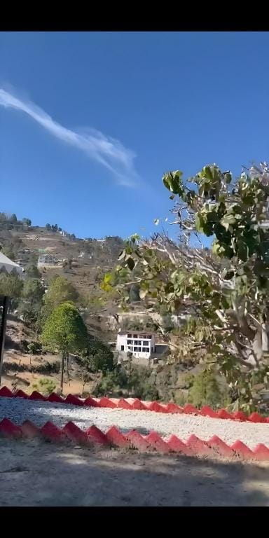 Pine pioneer the eco resort  Luxury tent in Uttarakhand