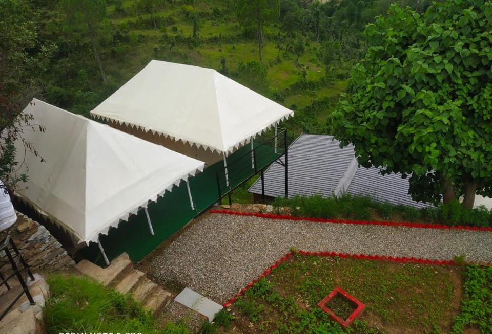 Pine pioneer the eco resort  Luxury tent in Uttarakhand