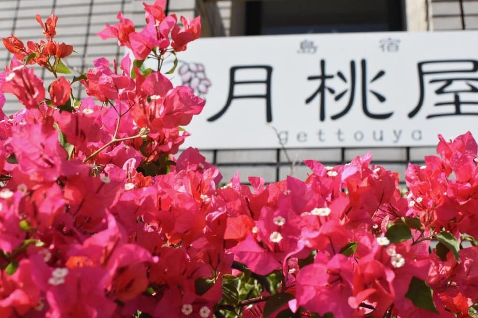 Shimayado Gettouya Bed and Breakfast in Okinawa Prefecture