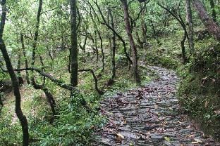 Fursat, exclusive solitude! Vacation rental in Uttarakhand