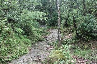Fursat, exclusive solitude! Vacation rental in Uttarakhand