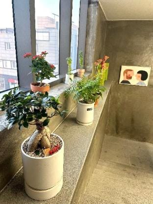 Incheon Airport Hue House (Double Room F) Apartment in Gyeonggi-do