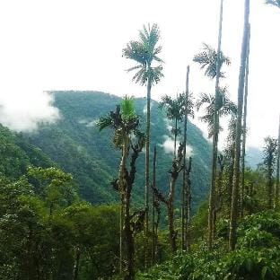 Tropical camping Vacation rental in Kerala