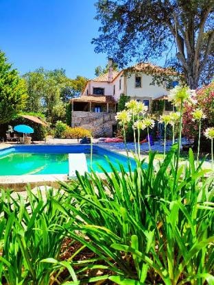 Lugar da Pedra Alta - Bed & Breakfast Villa in Portugal