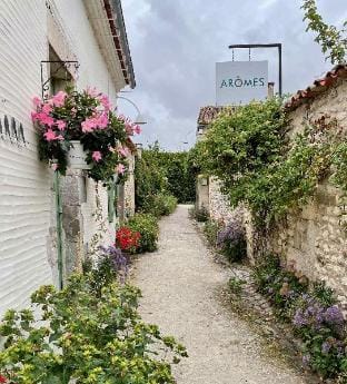 Mobile Home Ba662 3ch Siblu Bonne Anse La Palmyre Vacation rental in Les Mathes