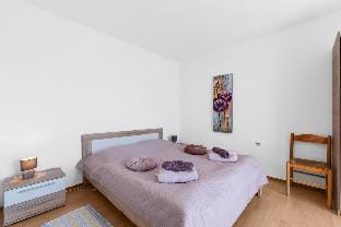 Apartment Morena2 Apartment in Novigrad