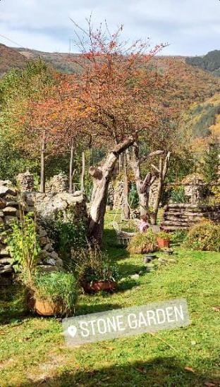 Stone Garden Apartment in Cluj County