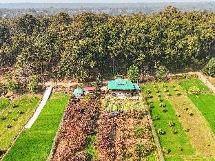 Forest Side Farm-One Bedroom Cottage near Nainital Vacation rental in Uttarakhand