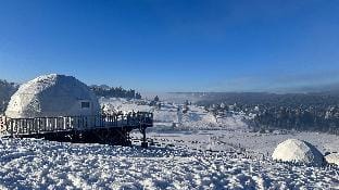 Dorna Iglu Luxury Glamping Resort Vacation rental in Romania