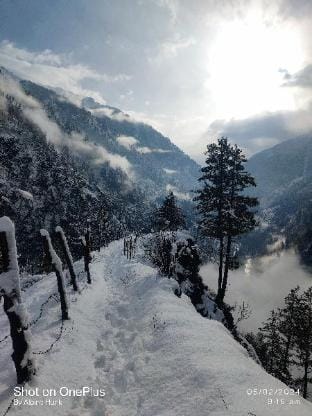 Alpine woods homestay  Villa in Himachal Pradesh