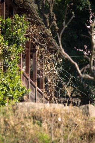 Aarya homes  Vacation rental in Himachal Pradesh