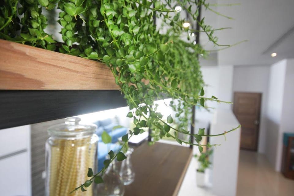 Shuang Huang Dan B&B Bed and Breakfast in Taiwan, Province of China