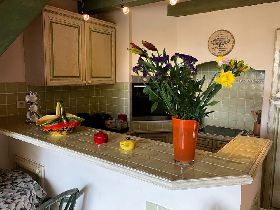 Charming holiday home with swimming pool Villa in Occitanie