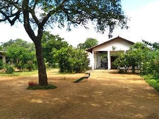 The Treasure - Habarana Villa in Sri Lanka