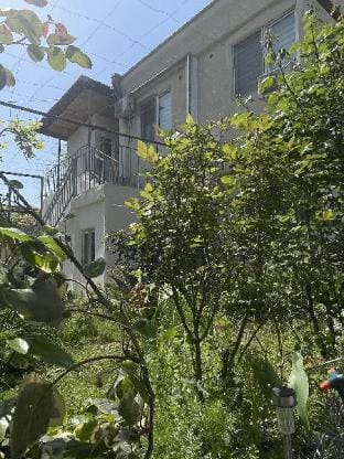 Добро пожаловать в семейный отель Olive Villa in Georgia