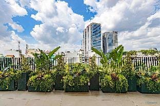 Căn hộ sân vườn đẹp quận 10. J2 Apartment in Ho Chi Minh City