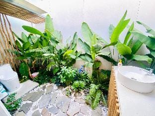 Open Space House with Plenty of Greenery and Fresh Air Apartment in Cambodia