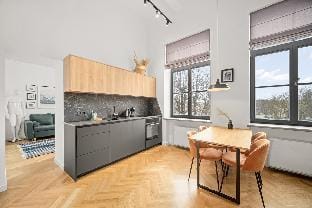 Cozy 1-bedroom loft in the heart of the city Apartment in Lithuania