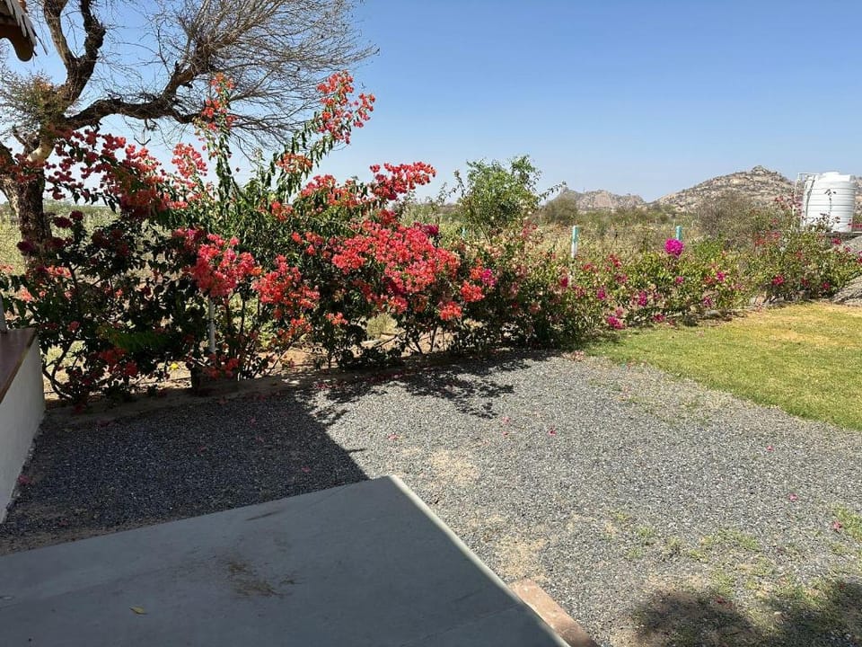 Jawai skylark Hotel in Rajasthan
