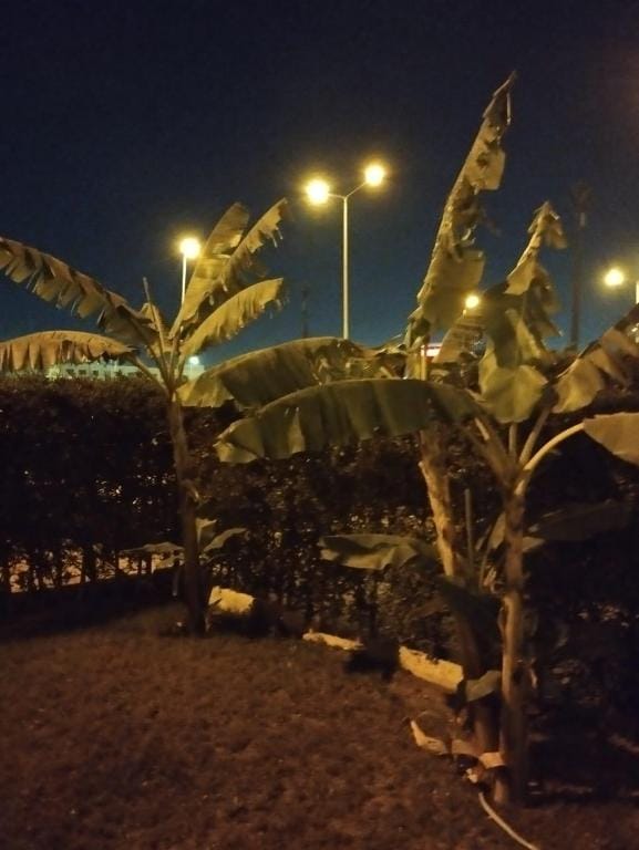 Entire Apartment with garden Apartment in Egypt
