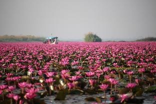 Hormduk Resort Vacation rental in Laos