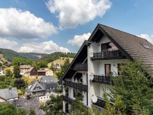 Wohnung mit Sauna bei Willingen Apartment in Willingen