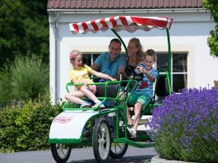 Scenic Villa Retreat with Pets Vacation rental in North Rhine-Westphalia