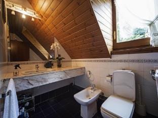 Chalet in Vielha near Baqueira Ski Resort Vacation rental in Vielha