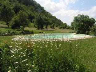 Independent apartment with pool Vacation rental in Emilia-Romagna